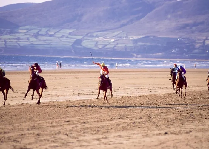 住宿加早餐酒店 阿德利屋住宿加早餐酒店