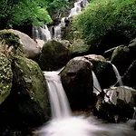 Ardree House Bed & Breakfast Killarney
