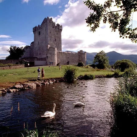 Panzió Ardree House