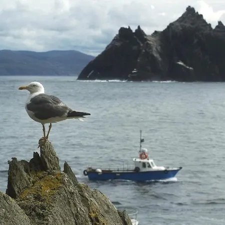 Panzió Ardree House 4*