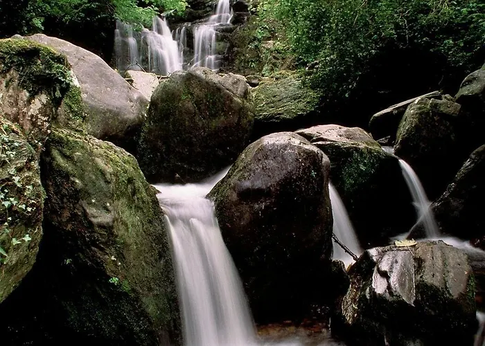 Ardree House Bed & Breakfast Cill Airne