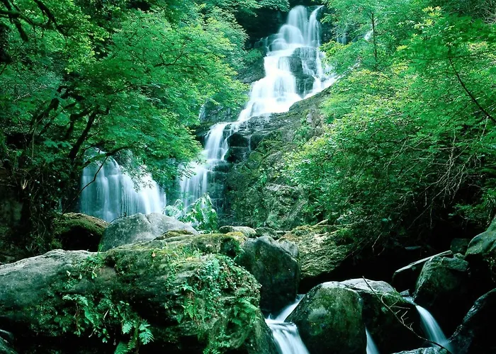 Ardree House Κιλάρνεϊ