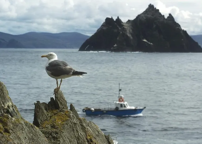 Bed and Breakfast Ardree House 4*