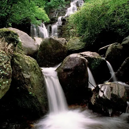 Ardree House Bed & Breakfast Cill Airne